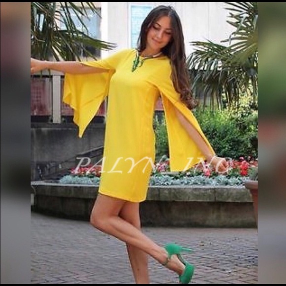 zara dress with cape sleeves